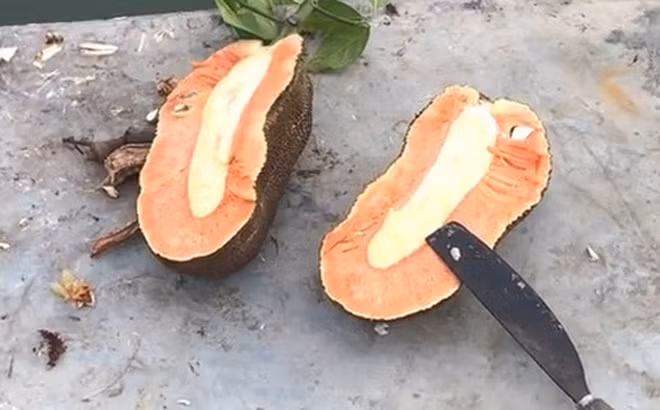 Mới đây, một thanh niên khoe màn bổ quả mít lạ và nhận được những phản ứng trái chiều từ phía cư dân mạng.