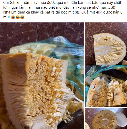 Mới đây trên hội Yêu bếp một tài khoản Facebook có tên P.L.N khoe mua được quả mít 4kg vô cùng đặc biệt.