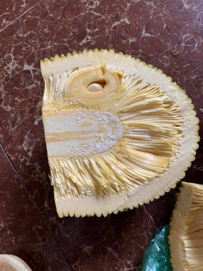 Tuy nhiên, khi đem về nhà và hí hửng bổ mít ra để thưởng thức, cô gái mới "tá hỏa" khi bên trong chỉ có đúng 8 múi dù quả mít nặng đến 4kg.