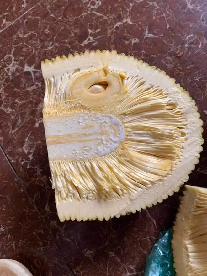 Tuy nhiên, khi đem về nhà và hí hửng bổ mít ra để thưởng thức, cô gái mới "tá hỏa" khi bên trong chỉ có đúng 8 múi dù quả mít nặng đến 4kg.