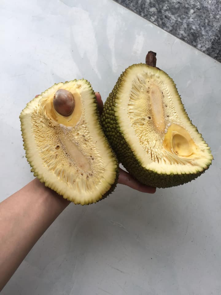 Mua mấy quả như mít, sầu riêng, dưa hấu… là không thể mua đại hay nghe lời chủ quán được mà phải thực sự biết chọn.