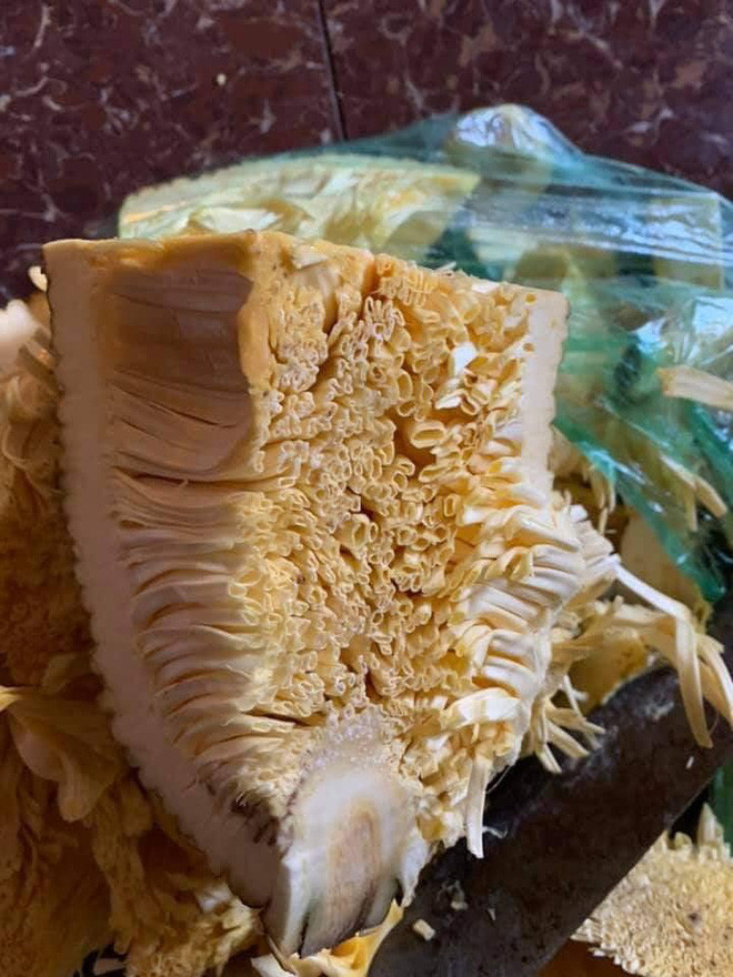 Sau khi chia sẻ lên MXH, ngay lập tức cư dân mạng được một phen cười vỡ bụng vì quả mít "đột biến" này và rần rần khoe hình ảnh đồng cảnh ngộ.