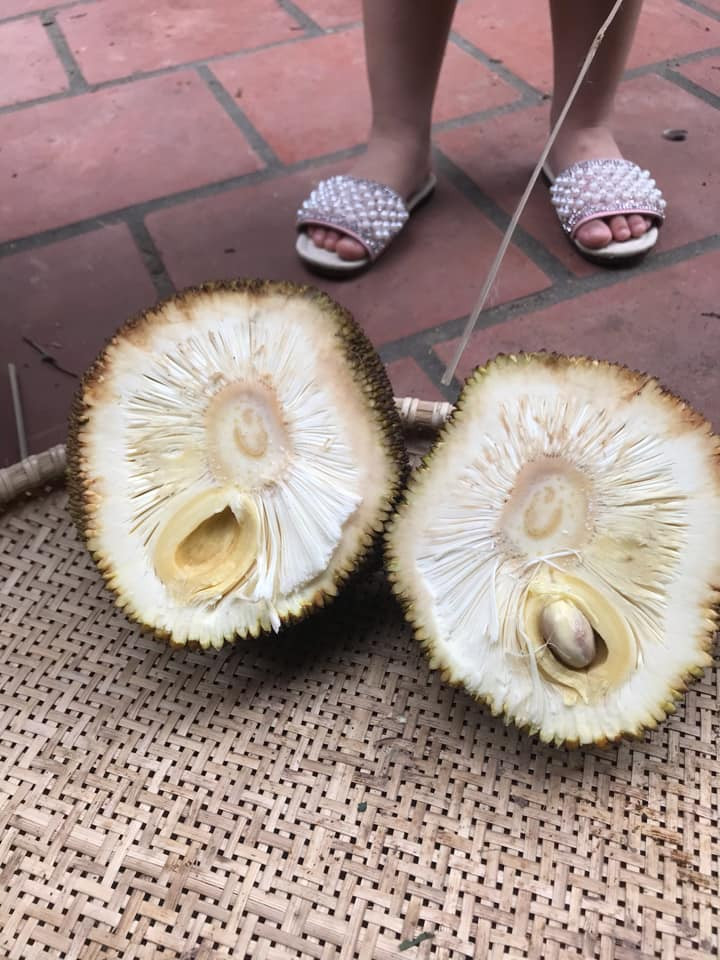 Những câu chuyện mua phải “thảm họa” thực phẩm có lẽ đã không còn xa lạ với chúng ta, đặc biệt là với những quả mít rất khó có thể chọn được quả ưng ý.