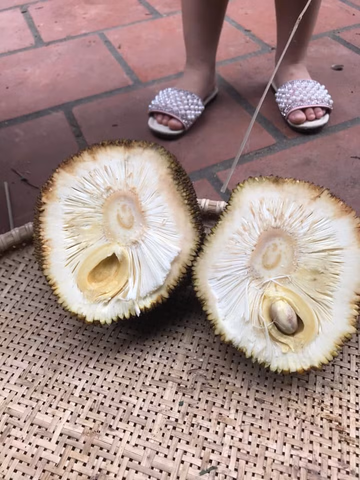 Những câu chuyện mua phải “thảm họa” thực phẩm có lẽ đã không còn xa lạ với chúng ta, đặc biệt là với những quả mít rất khó có thể chọn được quả ưng ý.