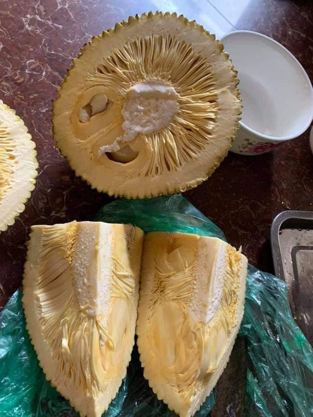 Theo lời chia sẻ của chủ bài đăng, chỉ vì tin lời người bán hàng là quả mít này "chất lừ , ngon lắm , ăn múi nào biết múi đấy , ăn xong sẽ nhớ mãi" nên cô gái không chần chừ mà mua luôn về ăn thử.