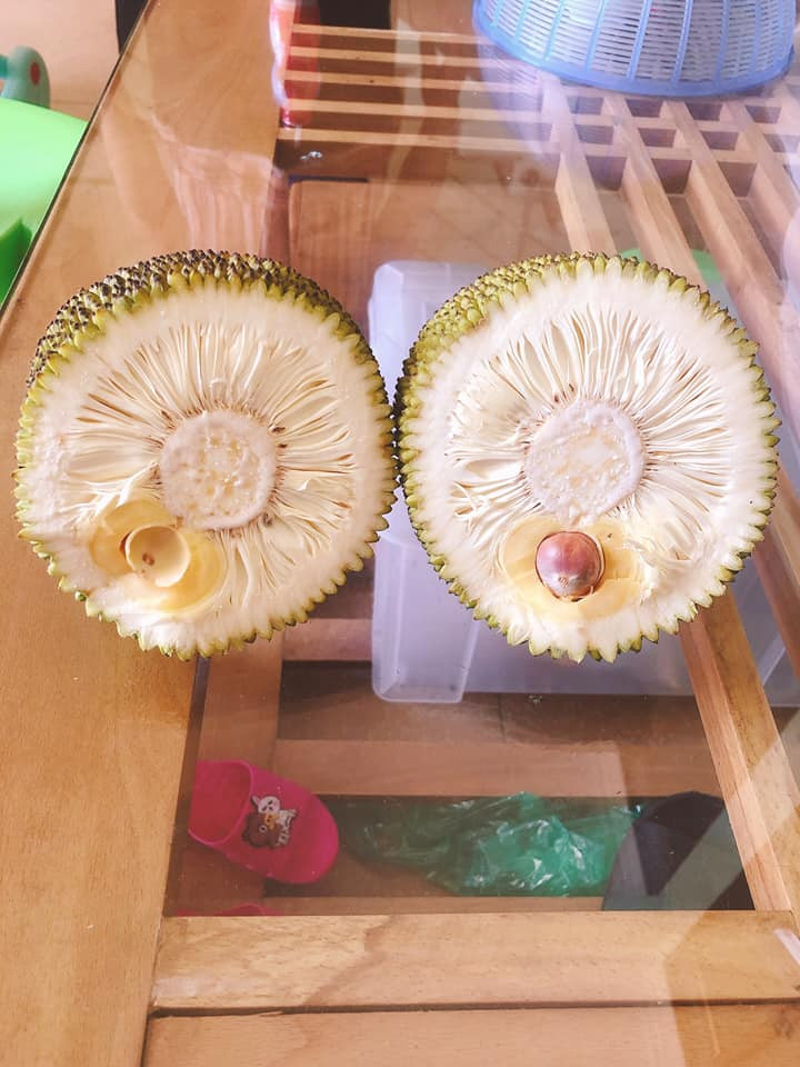 Đồng cảnh ngộ, đây cũng là trường hợp gặp phải "thảm họa" khi mua mít.