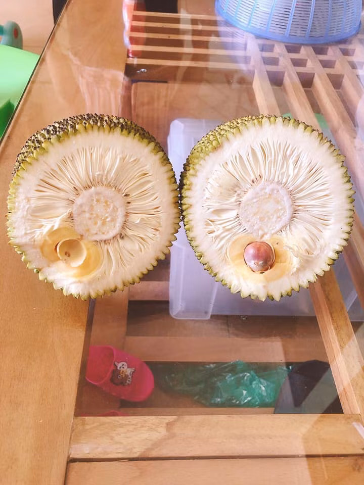 Đồng cảnh ngộ, đây cũng là trường hợp gặp phải "thảm họa" khi mua mít.