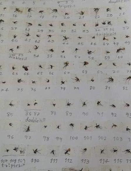 Ngoài đếm hạt gạo, trên MXH đã xuất hiện không ít tác phẩm "bá đạo" thể hiện sự rảnh rỗi trong thời gian nghỉ dịch ở nhà. Đỉnh cao nhất có lẽ phải kể đến tác phẩm đập muỗi, dán lên trang giấy tạo thành bộ sưu tập độc đáo, thậm chí người này còn đánh số thứ tự rất cẩn thận.