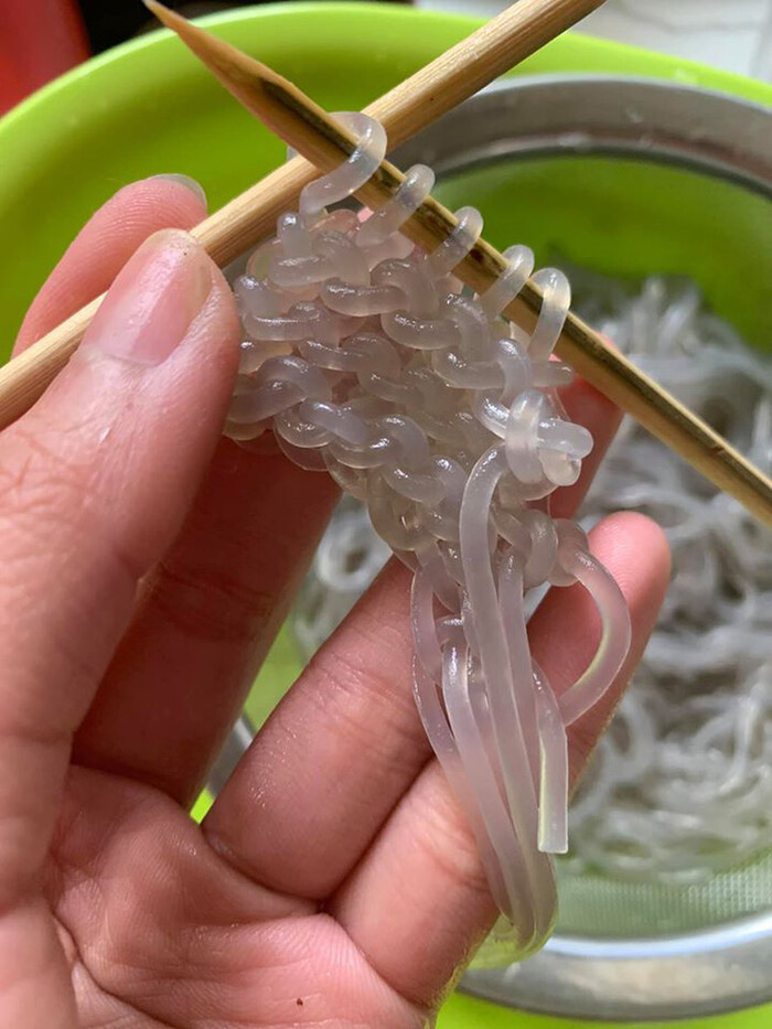 Sợi miến, sợi bún hay sợi phở cũng trở thành nguồn cảm hứng bất tận mỗi khi ở nhà tránh dịch. Ảnh: Tổng hợp