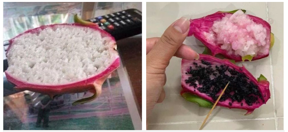 Có người chắc còn nuôi ý định ngồi… tách hạt thanh long để giết thời gian khi ở nhà.