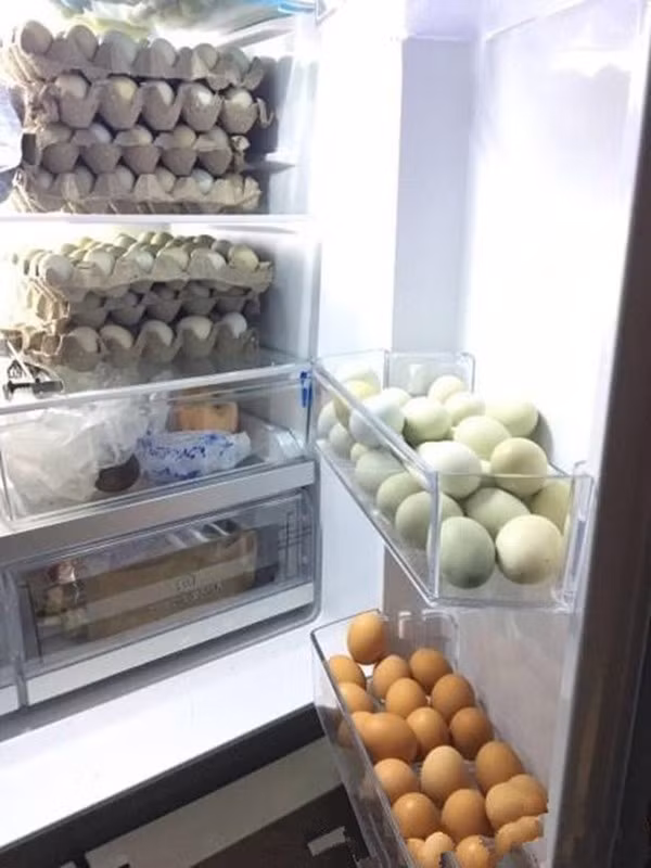 Ai thích trứng là có trứng luôn không phải nghĩ.