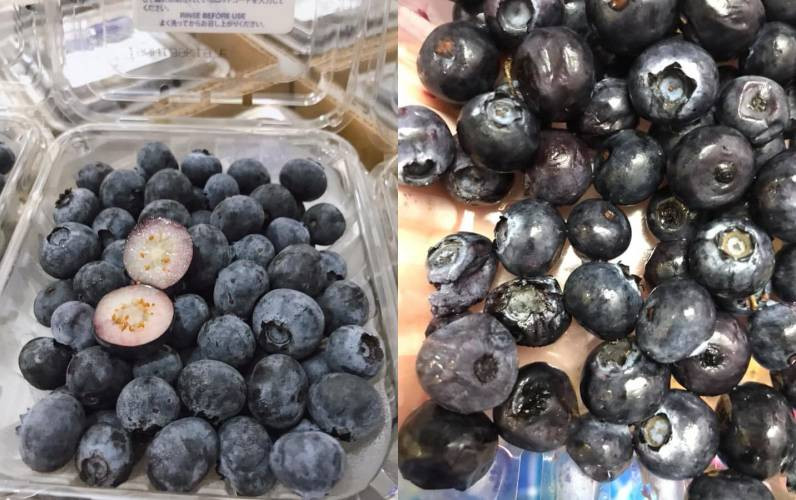 Một bà nội trợ gặp phải việt quất dập sau khi đặt hàng online.