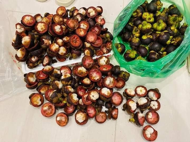 Sau khi mua hoa quả online, chị nhận hàng về và "tá hỏa" khi gần như tất cả số măng cụt mình mua bị hỏng, chiếm đến 98%. Cả túi 5kg trị giá 200 nghìn đồng tính ra chỉ được đúng 8 quả là cùi trắng, ăn được, còn lại đều dập nát và phải bỏ đi.