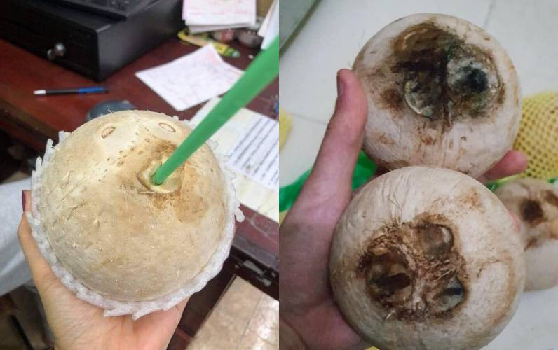 Dừa mốc meo, biến đổi màu khi nhận được sau khi mua trên mạng.