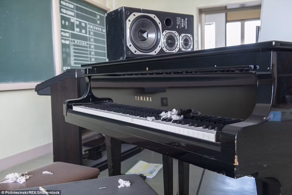 Cây đàn piano vẫn còn nằm lại đó. Ảnh Daily Mail