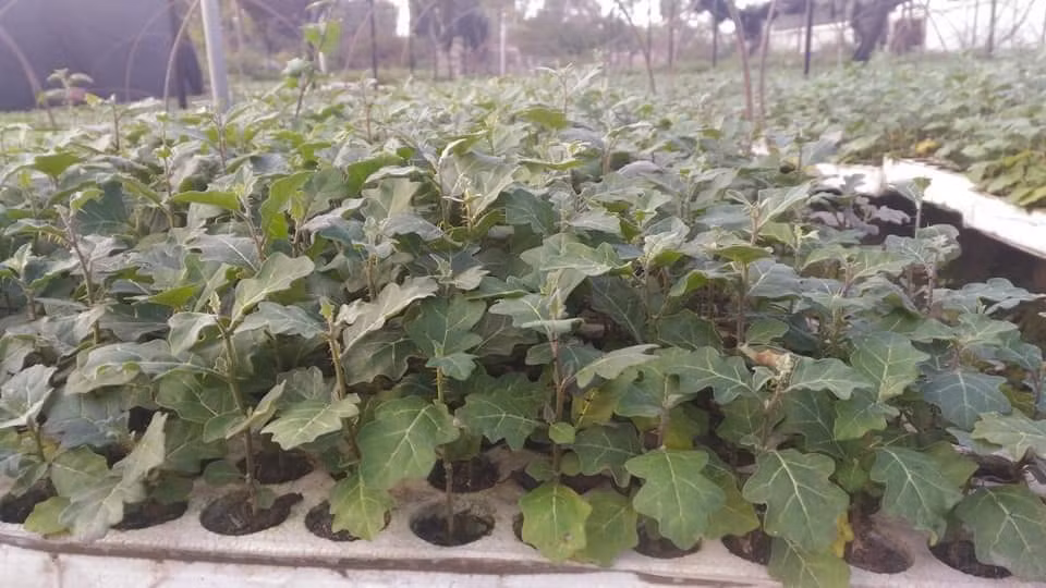 Khoi nghiep that bai khong biet bao nhieu lan, 8x doanh thu ca ti dong/thang-Hinh-2