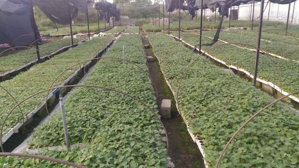 Khoi nghiep that bai khong biet bao nhieu lan, 8x doanh thu ca ti dong/thang-Hinh-3