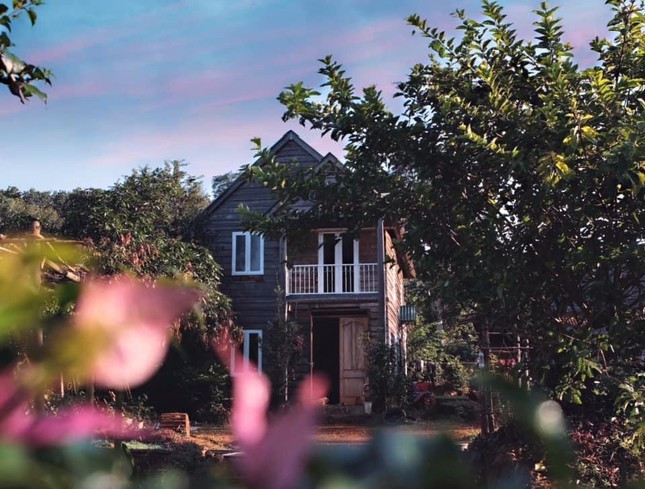 Co nhan vien van phong roi pho ve que de “trong rau, nuoi ca”-Hinh-2