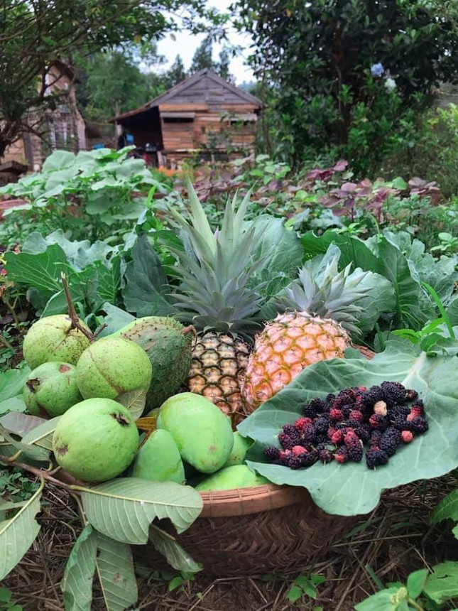 Co nhan vien van phong roi pho ve que de “trong rau, nuoi ca”-Hinh-5