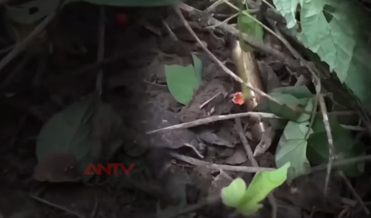 Qua tìm kiếm, lực lượng CA đã thu được 1 vỏ đạn loại Krăng dùng cho súng trường để bắn tỉa.