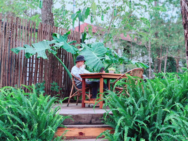 Sau 4 nam bo pho len nui khoi nghiep, 9x da co ca chuc ty trong tay-Hinh-3