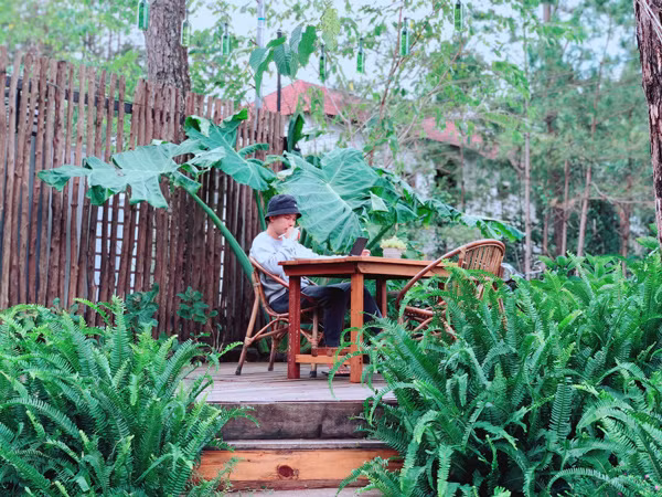 Sau 4 nam bo pho len nui khoi nghiep, 9x da co ca chuc ty trong tay-Hinh-3