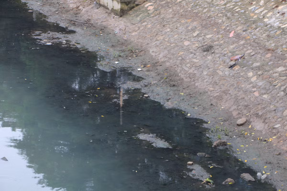 Vùng nước đen quánh trở lại sau một ngày xanh ngắt.