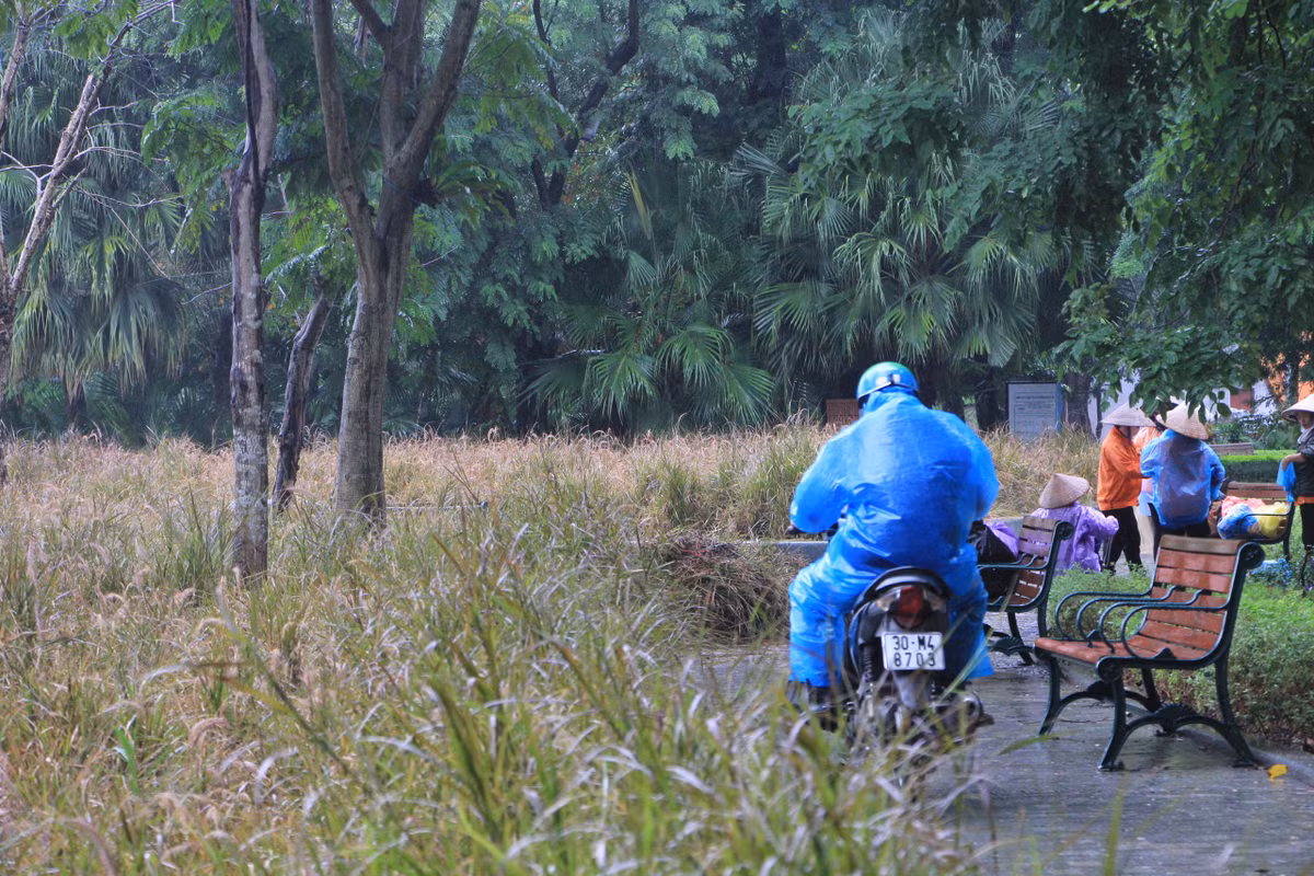 Công nhân vẫn đang vệ sinh, cắt tỉa cỏ dại để hoàn trả cảnh quan cho hồ Gươm.