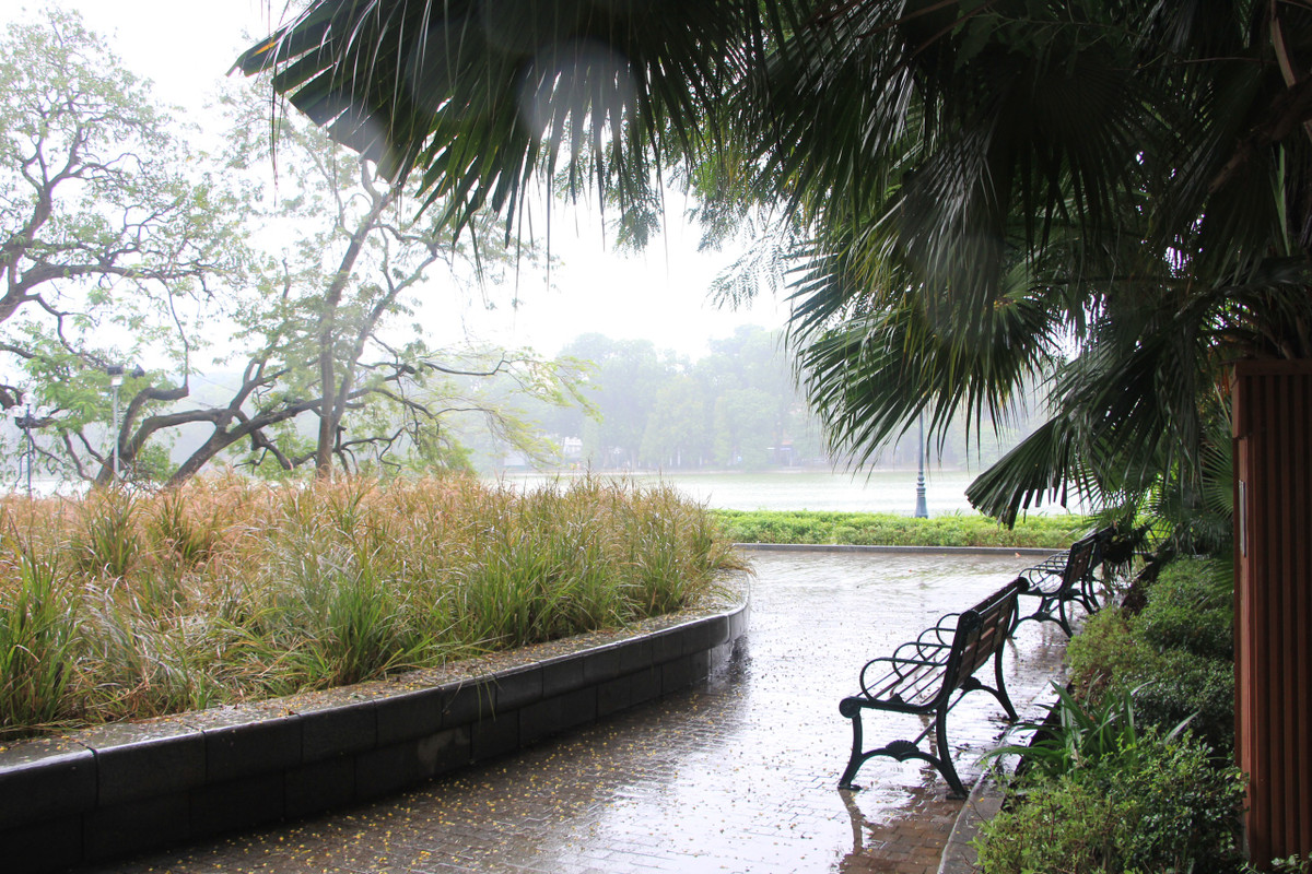 Được biết, sau khi hết giãn cách xã hội, công ty cây xanh Hà Nội đã tổ chức cắt dọn cỏ dại mọc cao tại đây nhưng gần 1 tháng qua vẫn chưa xử lý xong.