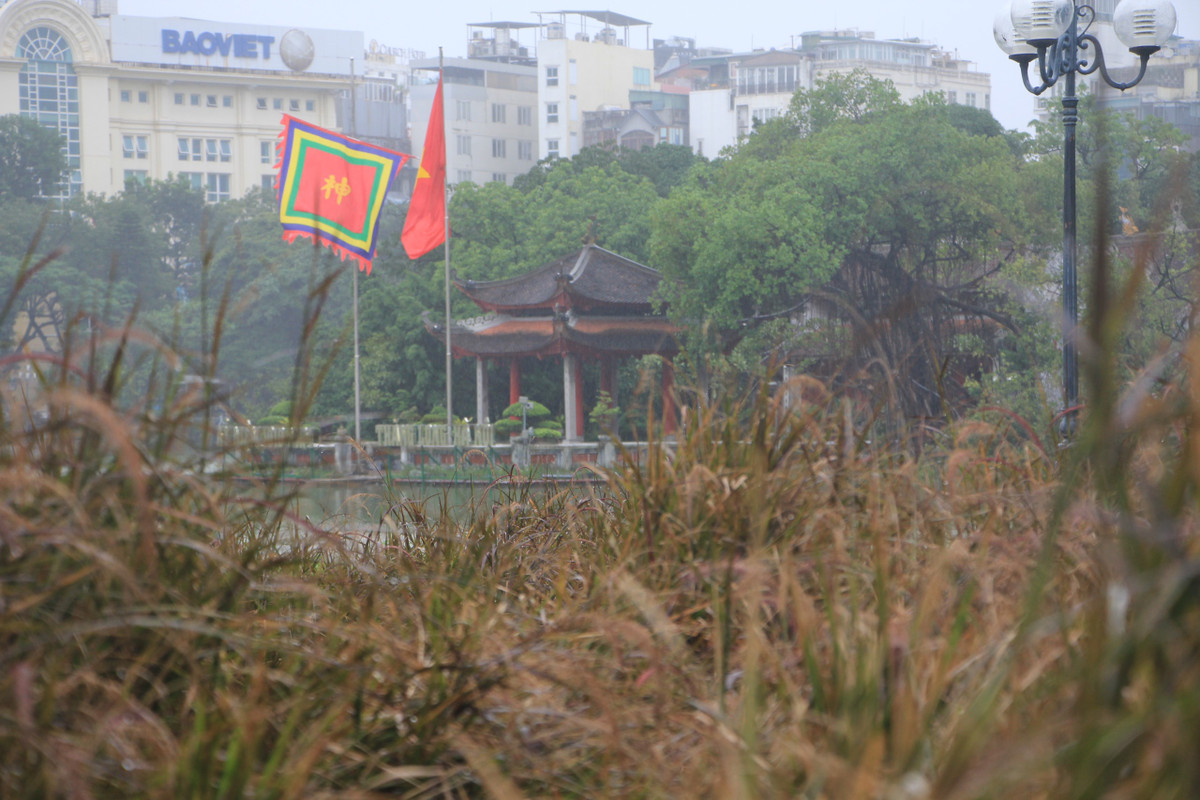 Những cây cỏ dại ở các khuôn viên trồng hoa xung quanh hồ Gươm mọc um tùm sau hơn 2 tháng TP Hà Nội thực hiện giãn cách xã hội.