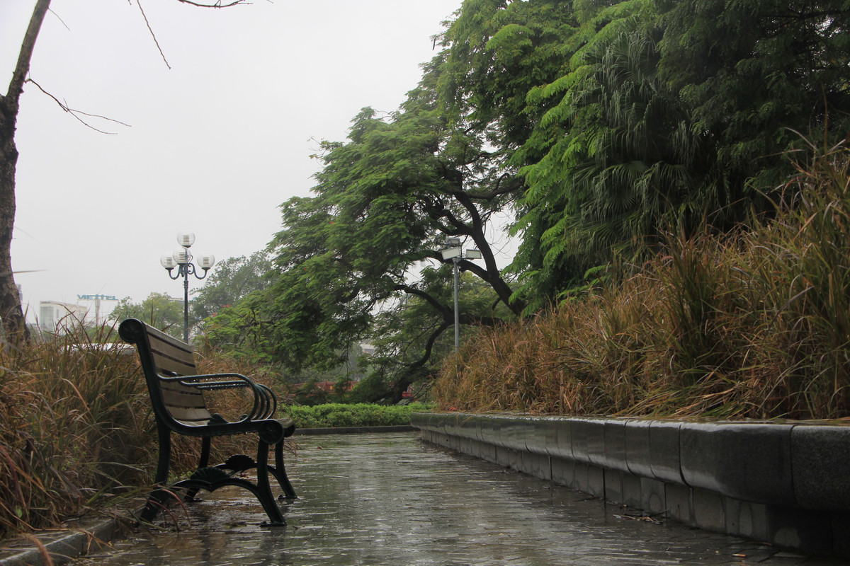 Hàng ghế đá quanh hồ Hoàn Kiếm "cô đơn" giữa tiết trời mưa rét đầu mùa.