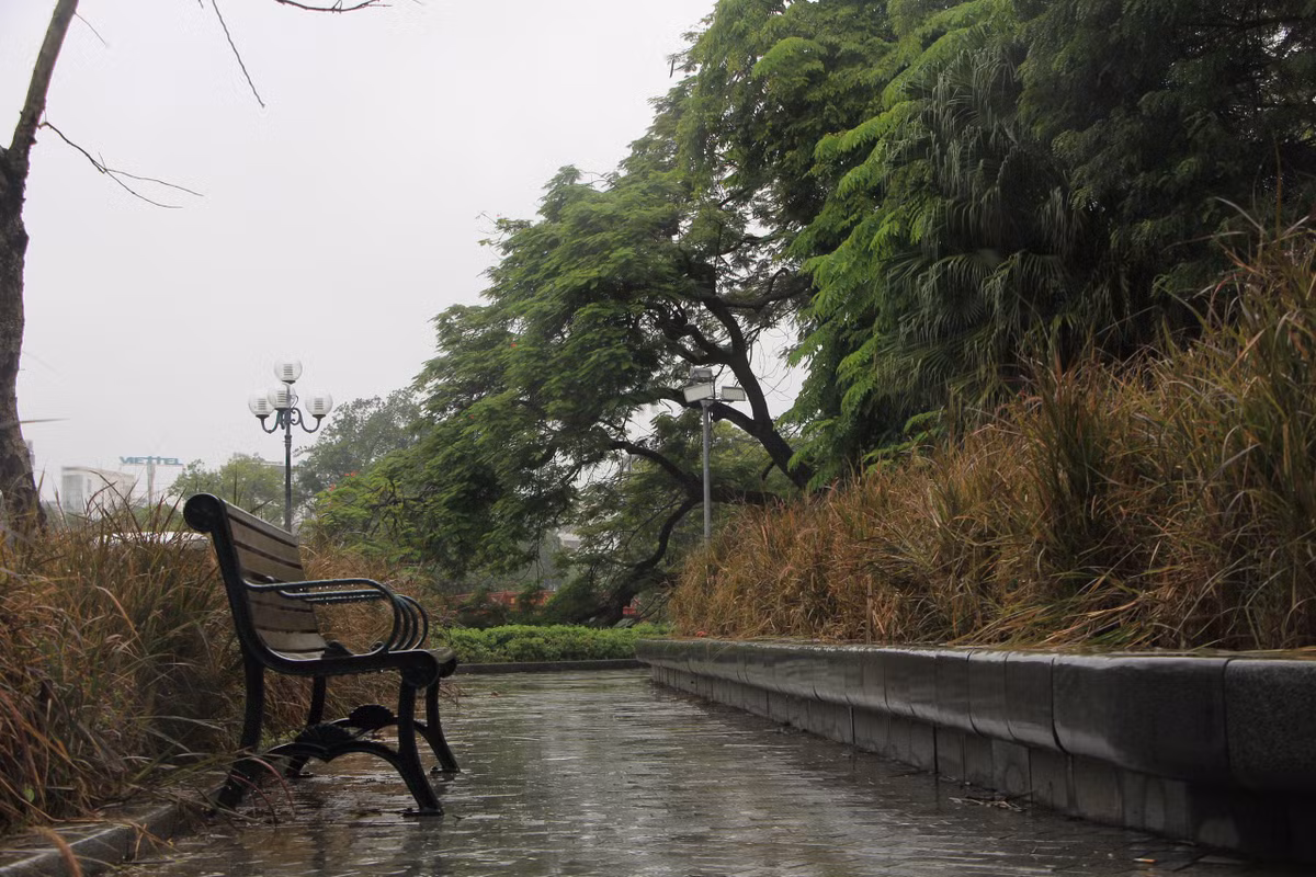 Hàng ghế đá quanh hồ Hoàn Kiếm "cô đơn" giữa tiết trời mưa rét đầu mùa.