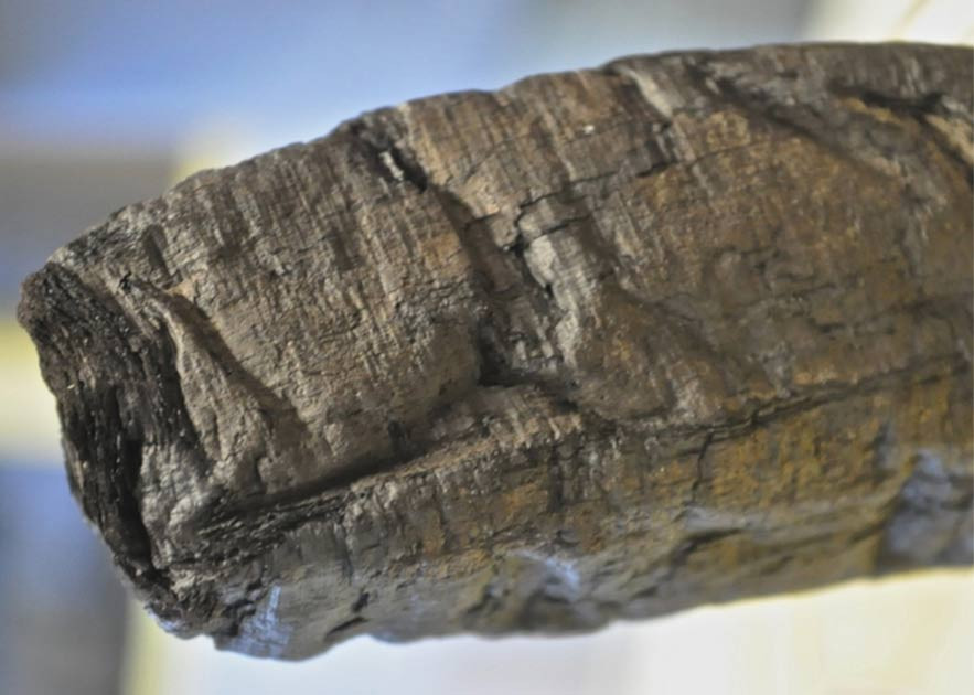 Sinh viên Farritor đã đào tạo một mô hình học máy theo các mẫu “vết nứt” được xác định trên cuộn giấy như những nét mực. Khi AI phát hiện ra nhiều vết nứt và nét mực hơn, chúng trở thành dữ liệu để đào tạo AI giải mã văn tự được viết trên cuộn giấy.