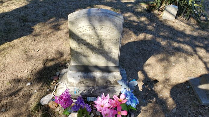 Vì vậy, người dân đã nhờ bác sĩ địa phương lấy tim ra khỏi thi hài của Mercy rồi đốt cháy thành tro rồi hòa vào nước cho Edwin uống với hy vọng anh sẽ khỏi bệnh. Tuy nhiên, không lâu sau, Edwin vẫn qua đời vì bệnh lao.