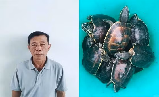 Tại cơ quan điều tra, Nguyễn Văn Thống khai nhận, trước đó đã mang 23 chiếc lú vào đặt xung quanh khu vực bảo tồn rùa của Vườn quốc gia U Minh Thượng. Đến đêm 4/10, Nguyễn Văn Thống lẻn vào kiểm tra bẫy và bắt được 41 cá thể rùa. Trên đường đem đi tiêu thụ, Nguyễn Văn Thống bị công an bắt giữ.