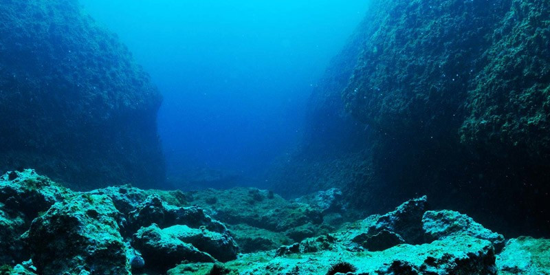 Các nhà nghiên cứu cho hay, âm thanh bí ẩn "The Bloop" phát ra từ độ sâu khoảng 4,3 km ở vùng biển cách Chile 1.750 km về phía Tây. Trong nhiều năm tiếp theo, họ nỗ lực tìm ra nguồn phát của âm thanh kỳ bí này.