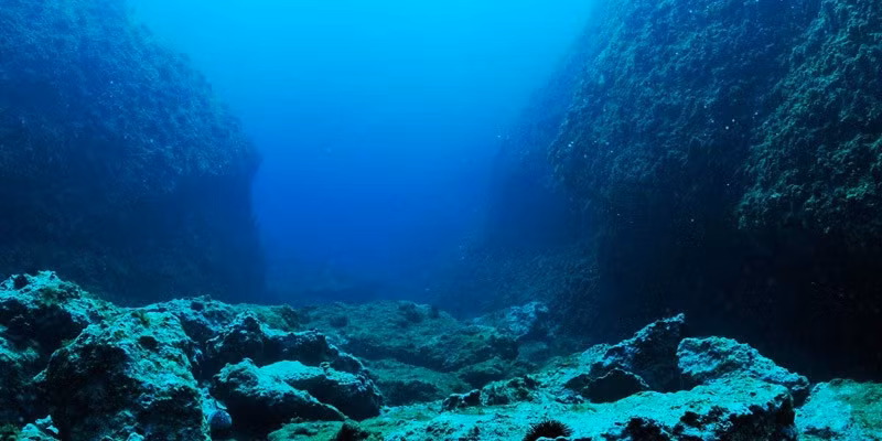 Các nhà nghiên cứu cho hay, âm thanh bí ẩn "The Bloop" phát ra từ độ sâu khoảng 4,3 km ở vùng biển cách Chile 1.750 km về phía Tây. Trong nhiều năm tiếp theo, họ nỗ lực tìm ra nguồn phát của âm thanh kỳ bí này.