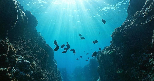 Tuy nhiên, các nhà nghiên cứu chưa thể xác định được quái vật biển nào đã tạo ra âm thanh bí ẩn "The Bloop". Do các đại dương trên thế giới vô cùng rộng lớn nên việc tìm ra "thủ phạm" tạo ra âm thanh này trở thành bí ẩn lớn.