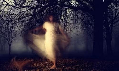 Một số người trên thế giới có thể nhìn thấy hồn ma khiến họ lo lắng, sợ hãi, bất an. Trước sự việc bí ẩn này, các nhà khoa học đã thực hiện các nghiên cứu nhằm tìm hiểu xem linh hồn có thật hay không.