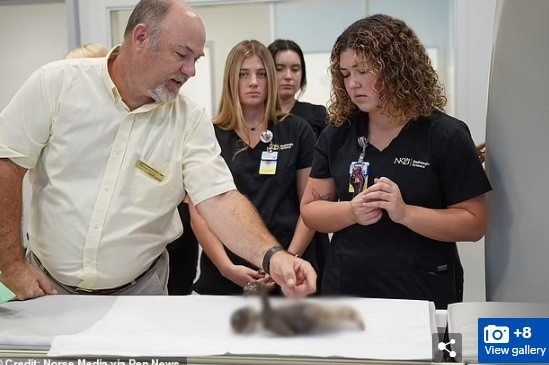 Bác sĩ Joseph cho hay "nàng tiên cá Fiji" đã được tạo ra giống như quái vật Frankenstein trong cuốn tiểu thuyết lừng danh của nhà văn người Anh Mary Shelley.