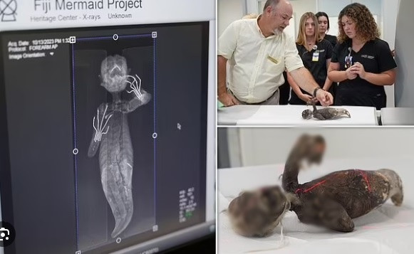 Trong những năm qua, một số xác nàng tiên cá đã được tìm thấy ở Nhật Bản. Các kiểm tra của giới khoa học sau đó cho thấy chúng được người xưa tạo ra từ các phần cơ thể động vật khác nhau hoặc làm từ vải, giấy, bông, vảy cá...