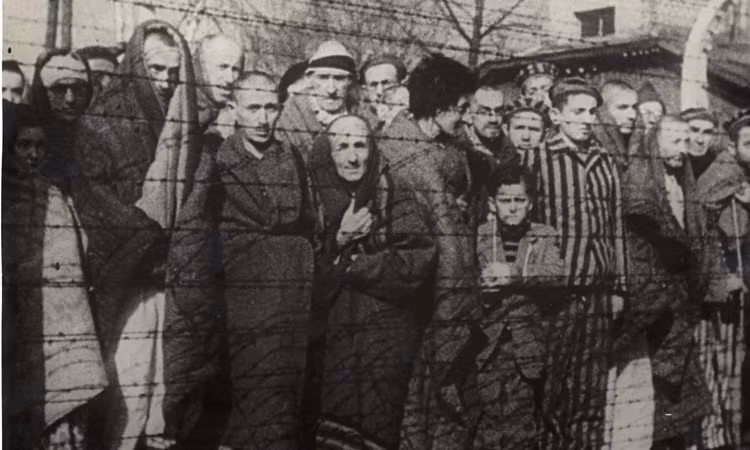 Đức quốc xã đã bắt giữ, đưa hàng triệu người Do Thái đến các trại tập trung, lao động, tra tấn, trở thành đối tượng thí nghiệm rùng rợn... và bị hành quyết. Theo ước tính, khoảng 6 triệu người Do Thái bị Đức quốc xã thảm sát trong cuộc diệt chủng đẫm máu này.