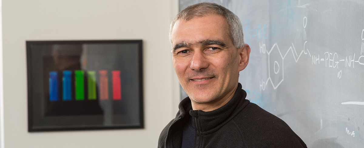 Thêm nữa, các nhà hóa sinh cũng như bác sĩ sử dụng chấm lượng tử để lập bản đồ mô sinh học.