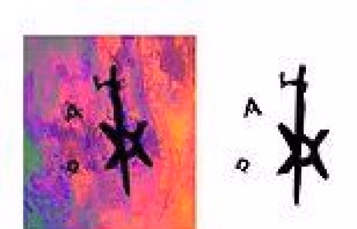 Nguyên nhân là bởi người đàn ông này không được chôn trong cùng nghĩa trang như các linh mục ở tu viện mà được mai táng trong nghĩa trang mà người dân ở cộng đồng gần đó sử dụng. Người này nhiều khả năng qua đời khi khoảng 35 - 50 tuổi.