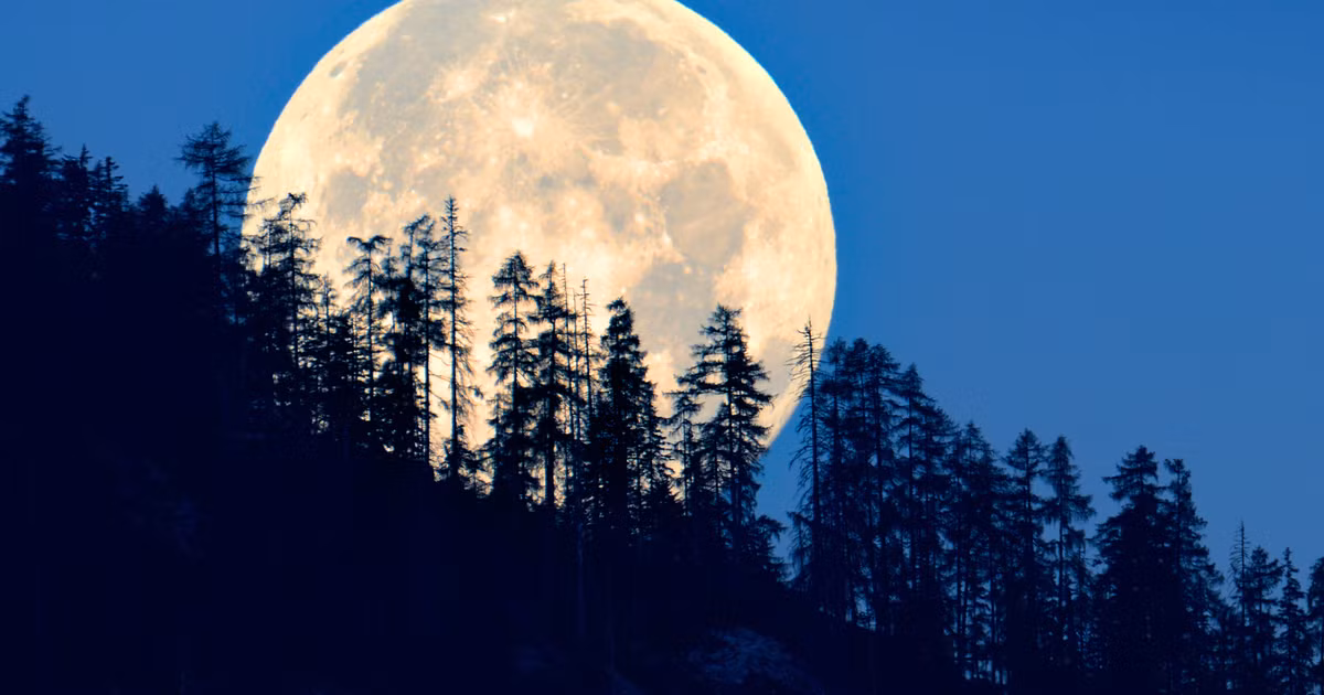 Nhóm chuyên gia tin rằng, tinh thể zircon là chất rắn đầu tiên kết tinh sau khi hình thành Mặt Trăng. Chúng được hình thành khi bề mặt nóng chảy của Mặt Trăng đông cứng lại sau vụ va chạm.