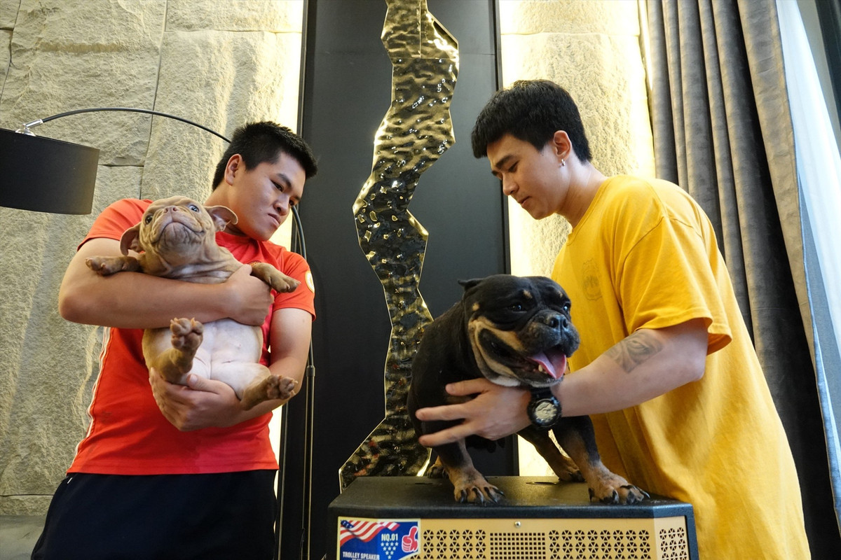 Tương tự, anh Phạm Thanh Giang (quận Bình Thuỷ, TP Cần Thơ) cũng có niềm đam mê nuôi chó cảnh, đặc biệt là dòng chó Exotic Bully. Anh đã chi hàng chục nghìn USD để mua 2 con chó Exotic Bully từ Mỹ về làm giống rồi bắt đầu nhân đàn và kinh doanh dòng chó đắt đỏ này.