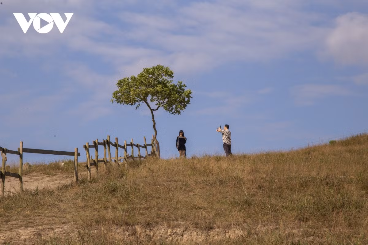 Khung cảnh thơ mộng đổi màu theo mùa khiến đỉnh Phượng Hoàng được nhiều người ví von như "Đà Lạt thu nhỏ" ở Quảng Ninh.