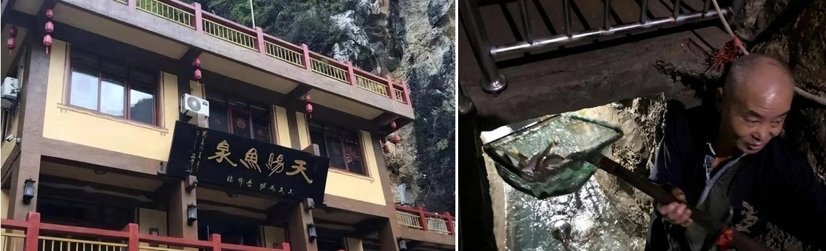 Ông Lý nhờ các chuyên gia giúp đỡ nhân giống và nuôi cá đục Vân Nam. Nhờ đó, việc kinh doanh của ông hoạt động trở lại và đem lại nguồn thu nhập ổn định cho gia đình.