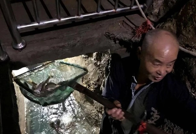 Bởi lẽ, sau khi bắt được những con cá nhỏ, ông Lý đem chúng ra chợ để hỏi xem đó là loại cá gì. Nhờ đó, ông biết được đó là cá đục Vân Nam. Đây là loài cá đặc hữu sống ở thượng - trung lưu vực sông Dương Tử và một số kênh rạch ở Trung Quốc.