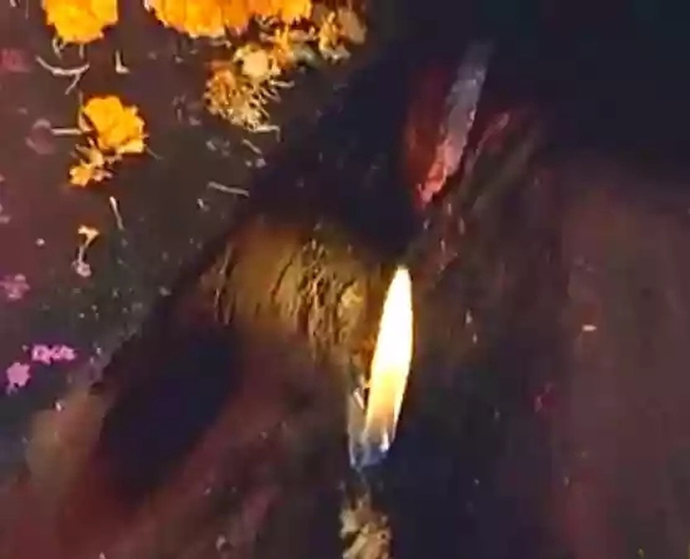 Ngọn lửa vĩnh cửu nằm ở trung tâm ngôi đền linh thiêng Jwala Ji. Nó rực cháy suốt nhiều thập kỷ. Bên dưới ngọn lửa là một hòn đá rỗng khiến mọi người tò mò vì sao nó có thể cháy mãi hơn 100 năm qua.